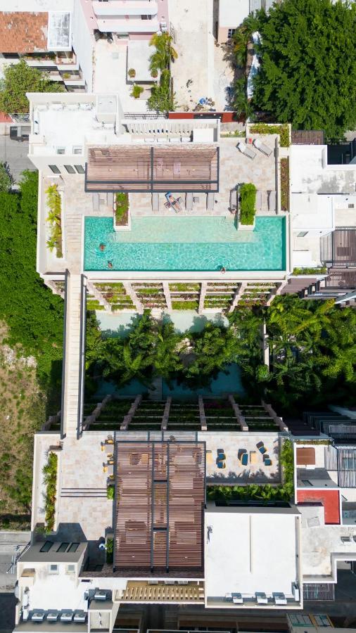 Maravilloso Estudio En Playa Rooftop-pool-bbq & Gym By Yeah * Playa del Carmen